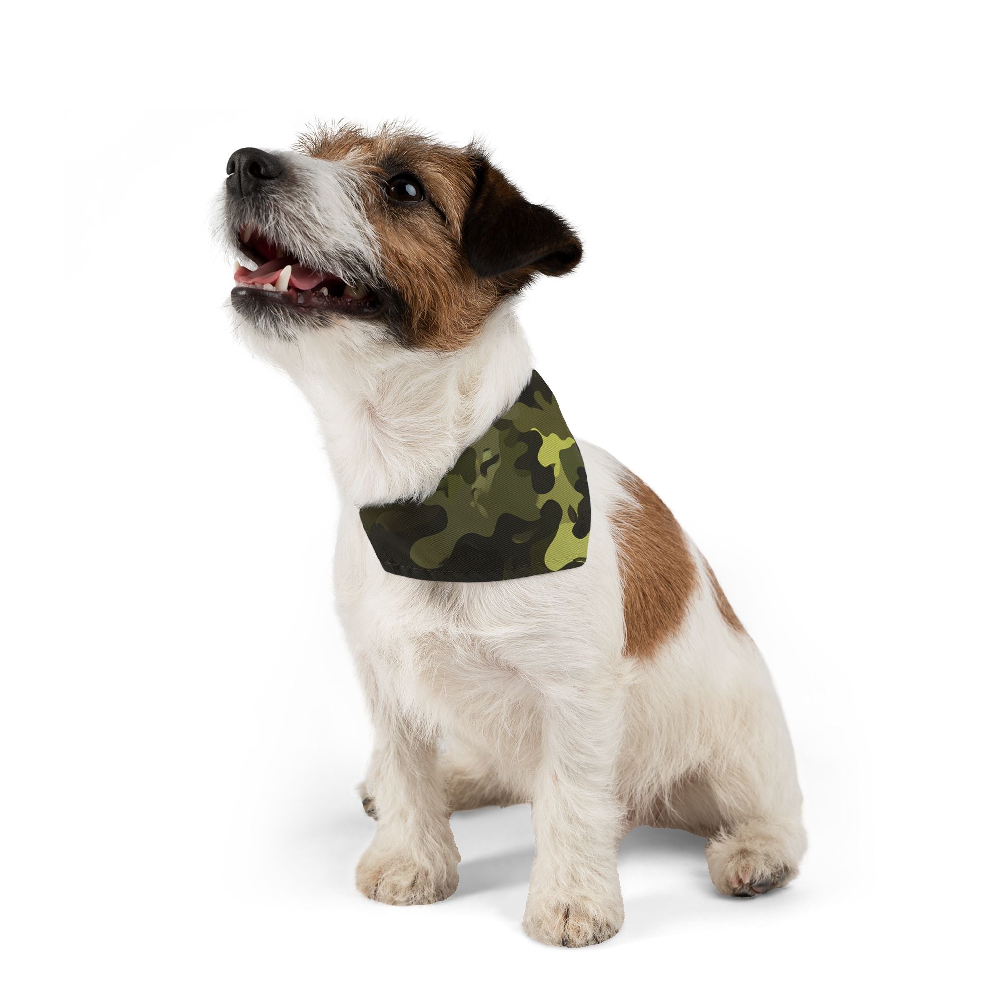 Camouflage Pattern, Dog Bandana
