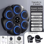 Musical Wall Boxing Target Training Machine-2