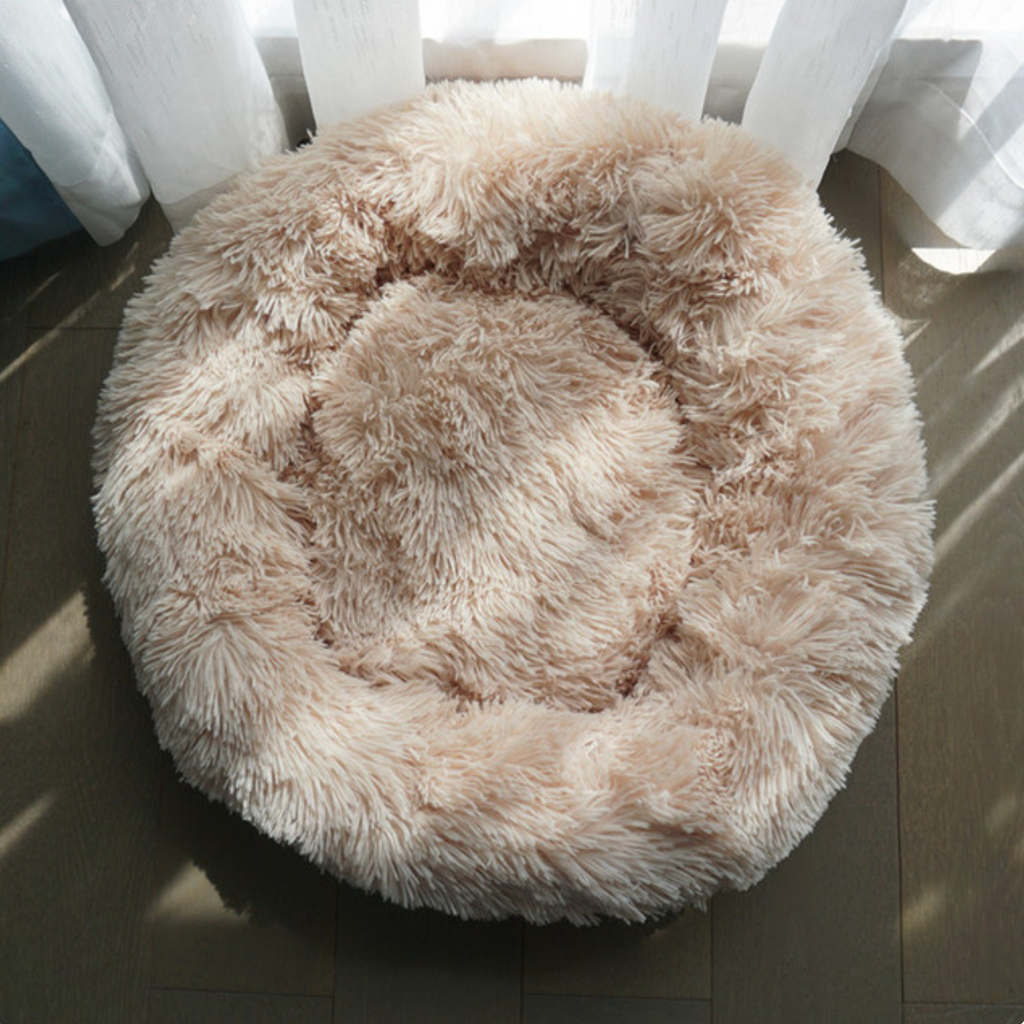 Lit coussin classique Snuggle pour chien et chat