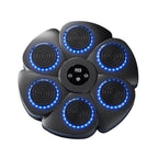 Musical Wall Boxing Target Training Machine-0