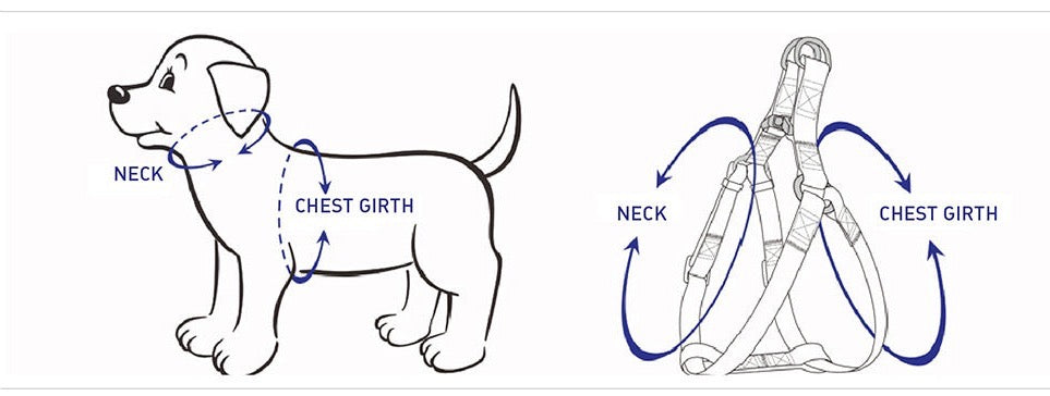 Pink and Blue Galactic Sky, Step In Harness For Pets