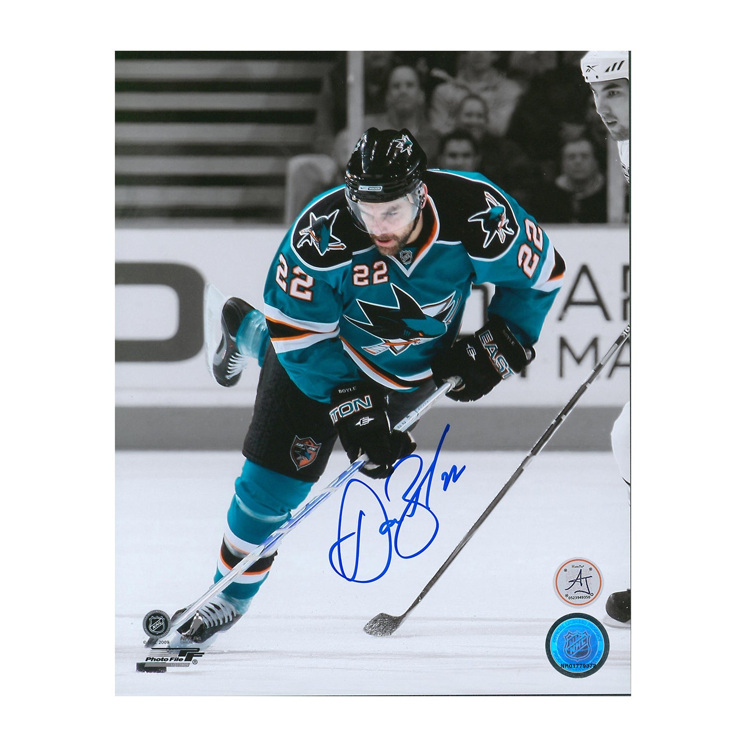 Dan Boyle Autographed San Jose Sharks colour Isolation 8x10 Photo