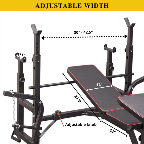 Adjustable Workout Bench with Lat Pulldown Pulley, Scott Bench & Barbell Rack ST6655