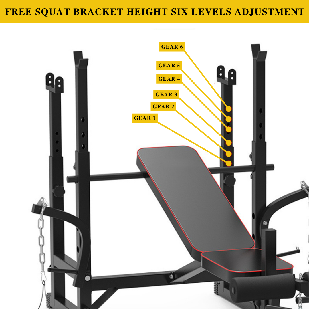 Adjustable Workout Bench with Lat Pulldown Pulley, Scott Bench & Barbell Rack ST6655