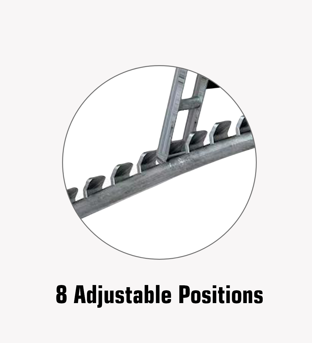 Squat Rack, Bench, Barbell & Weight Plates Stack