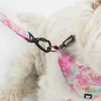 Pink Tie-Dye, Leash for Pets