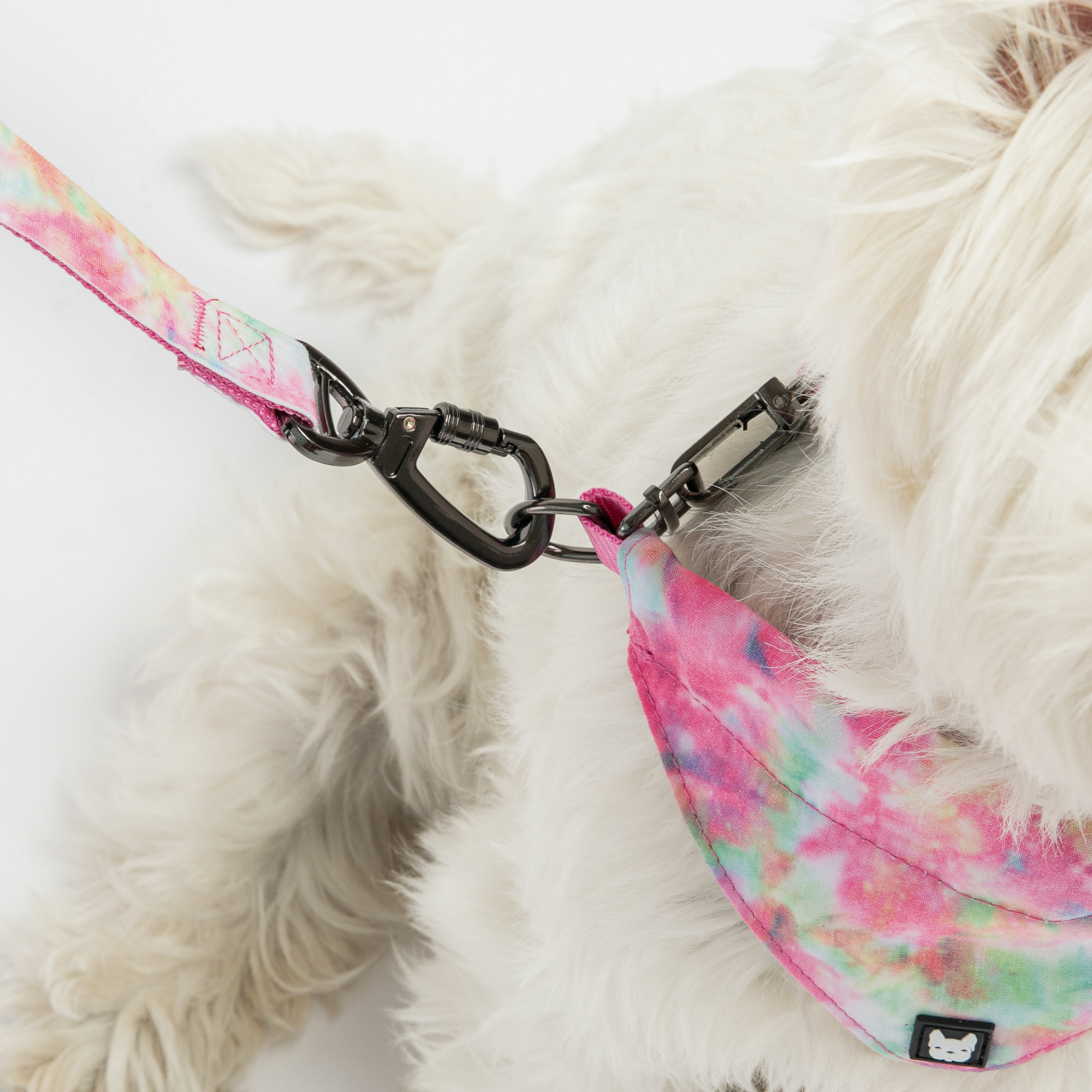 Pink Tie-Dye, Leash for Pets