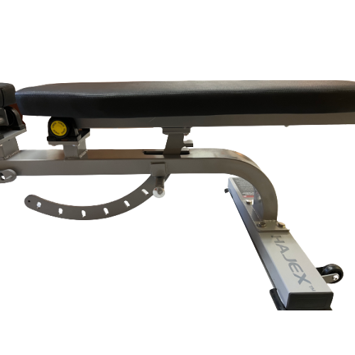 Adjustable Commercial Incline Workout Bench (HX-F39)