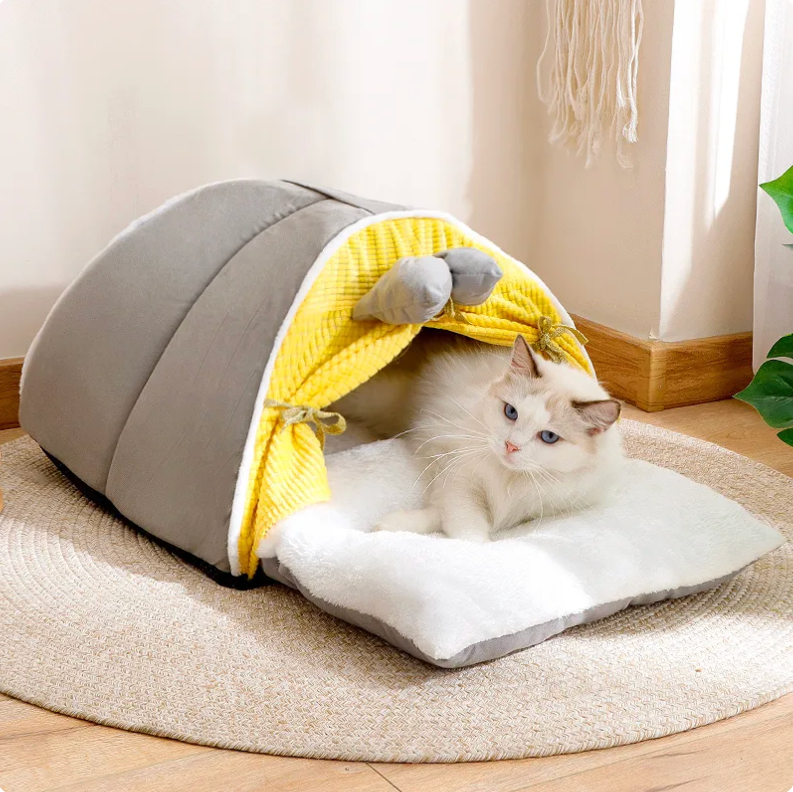 Ribbon Cat Dog Pet Tent House