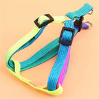 Colorful Adjustable Pet Leash