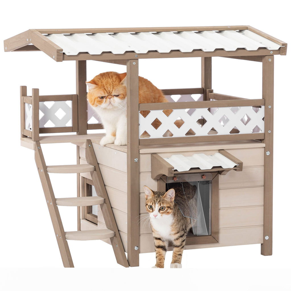 Maison pour chat sauvage, maisons pour chatons d'intérieur et d'extérieur