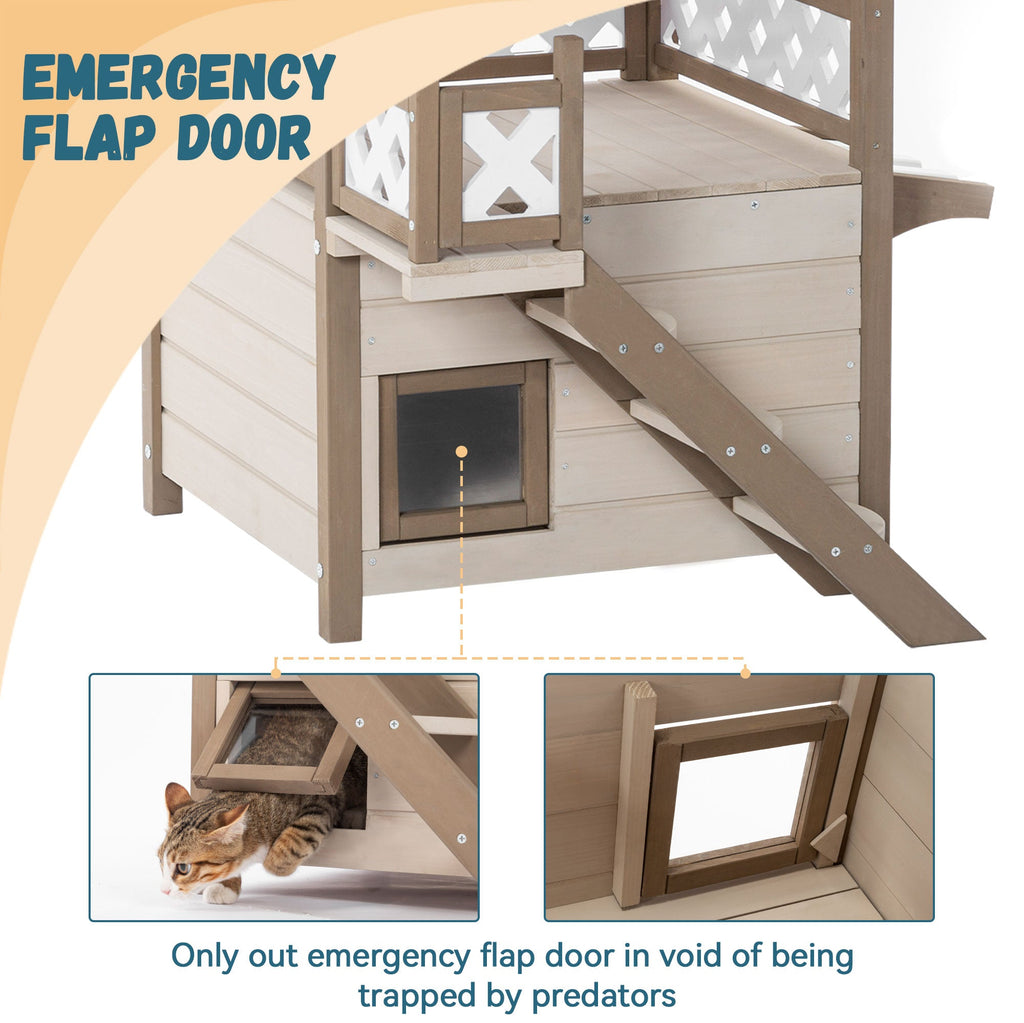 Maison pour chat sauvage, maisons pour chatons d'intérieur et d'extérieur