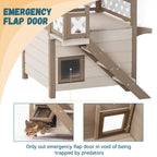 Maison pour chat sauvage, maisons pour chatons d'intérieur et d'extérieur