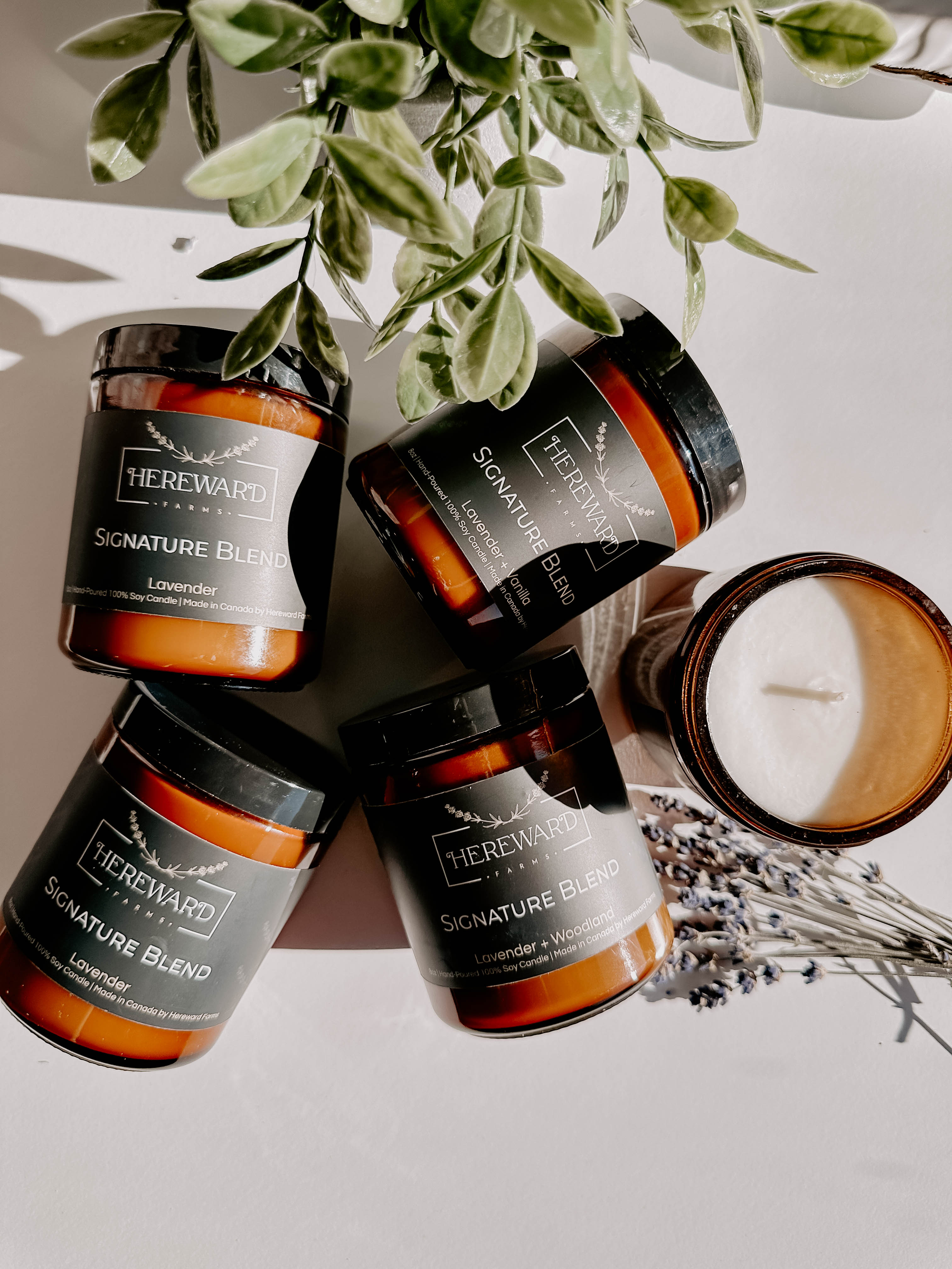 Signature Blend Soy Candles