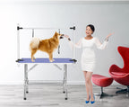 Table de toilettage pliante pour chiens de 91 cm, robuste
