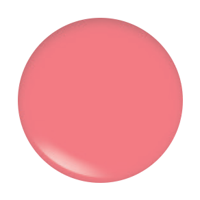 Gloss à lèvres Disco