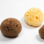 Natural Sea Sponge - Zero Waste Organic Sponge - Plastic Free