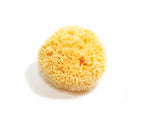 Natural Sea Sponge - Zero Waste Organic Sponge - Plastic Free