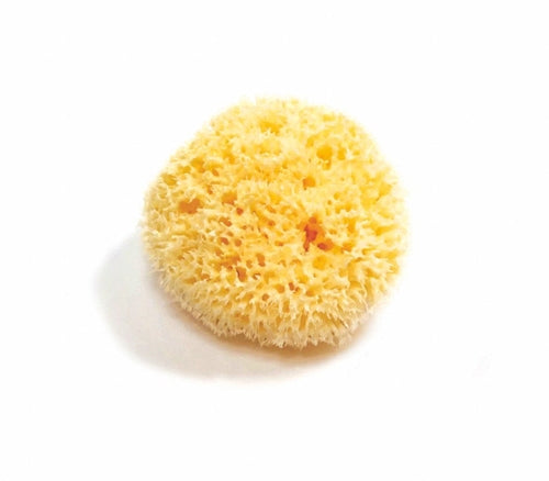 Natural Sea Sponge - Zero Waste Organic Sponge - Plastic Free