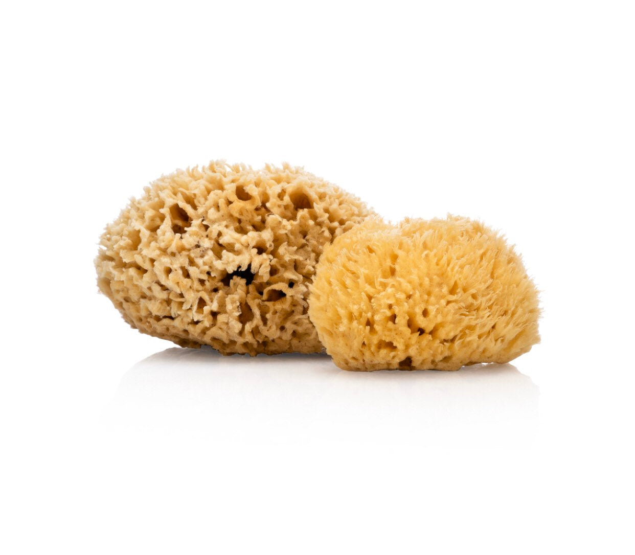 Natural Sea Sponge - Zero Waste Organic Sponge - Plastic Free