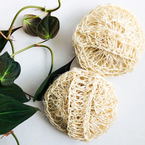 Natural Organic Sisal Deluxe Shower Sponge - Zero Waste Bath Sponge -