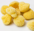 Natural Sea Sponge - Zero Waste Organic Sponge - Plastic Free