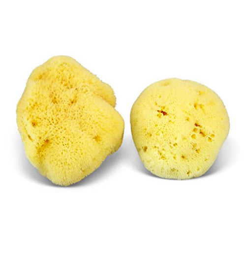 Natural Sea Sponge - Zero Waste Organic Sponge - Plastic Free